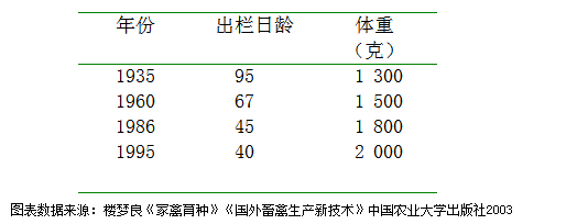 澳门原料1688茄子